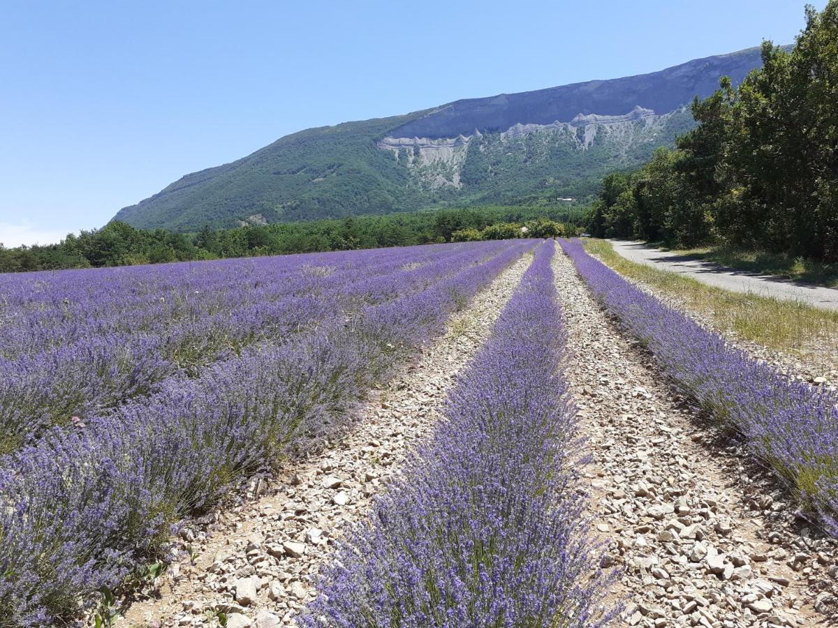 Bed and Breakfast Rose Des Alpes Serres  Esterno foto